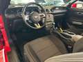 Ford Mustang Basis Convertible Rot - thumbnail 10