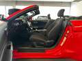 Ford Mustang Basis Convertible Rot - thumbnail 9