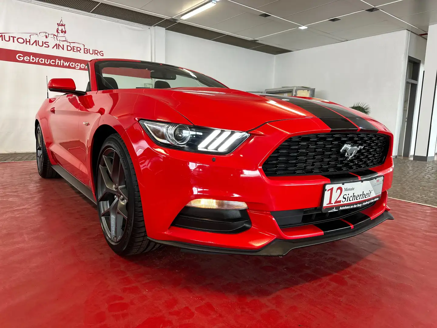 Ford Mustang Basis Convertible Rot - 1