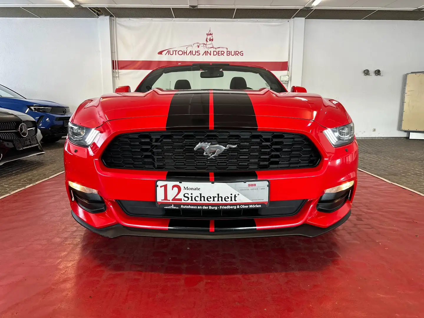 Ford Mustang Basis Convertible Rot - 2