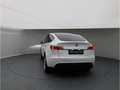 Tesla Model Y Dual AWD  Pano 4xSHZ HD Kamera Weiß - thumbnail 5