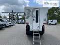Ford Ranger DoKa Wildtrak Allrad-Wohnkabine-Standheizung- Schwarz - thumbnail 21