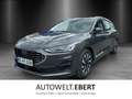 Ford Focus Titanium Turnier Winter P. e.Call Kamera Grau - thumbnail 1