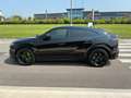 Lamborghini Urus Urus 4.0 V8 - 650 Cv. - IVA ESPOSTA Nero - thumbnail 5