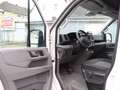 Volkswagen Crafter Kasten 35 TDI DSG IQ. MITTELLANG+HOCH Weiß - thumbnail 8