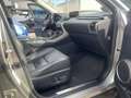Lexus NX 300 NX Hybrid 4WD Luxury Grey - thumbnail 9
