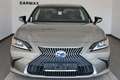 Lexus ES 300 Luxury Line,Leder,Navi,LED,SH,ACC,SD Silber - thumbnail 22