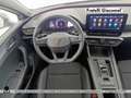 CUPRA Leon sportstourer 2.0 tdi 150cv dsg Bianco - thumbnail 7