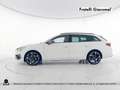 CUPRA Leon sportstourer 2.0 tdi 150cv dsg Bianco - thumbnail 3