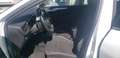 Ford Focus Sportbreak 1.5Ecoblue Trend Edition Blanco - thumbnail 10