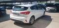 Ford Focus Sportbreak 1.5Ecoblue Trend Edition Blanco - thumbnail 6