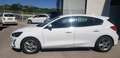 Ford Focus Sportbreak 1.5Ecoblue Trend Edition Blanco - thumbnail 5