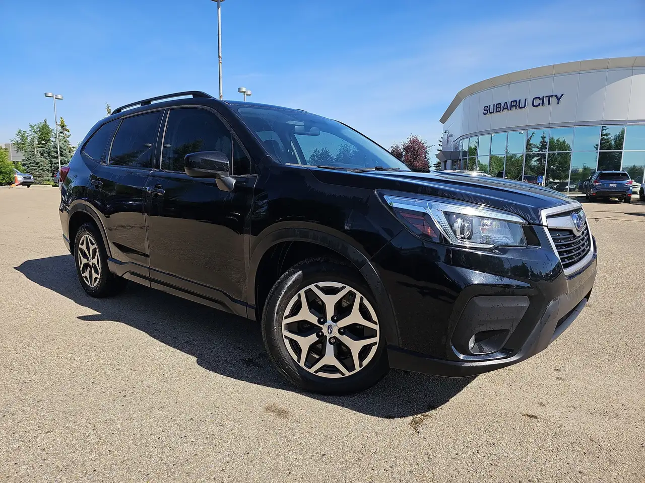 Subaru Forester fotografie Subaru Forester