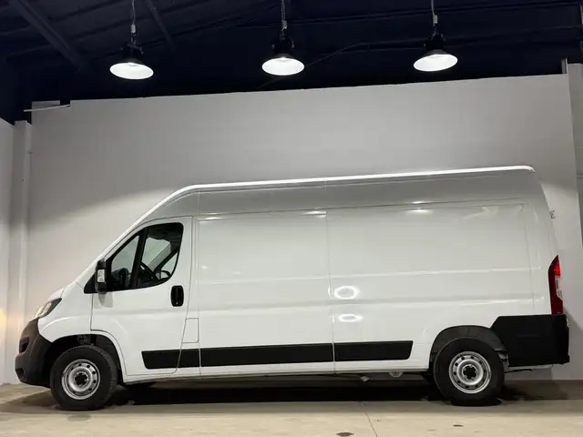 Fiat Ducato view 9