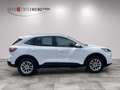 Ford Kuga Plug-In Hybrid Titanium Weiß - thumbnail 4