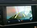 Land Rover Range Rover Evoque 2.0 TD4 150CV 5p. Business Edition SE Verde - thumbnail 20