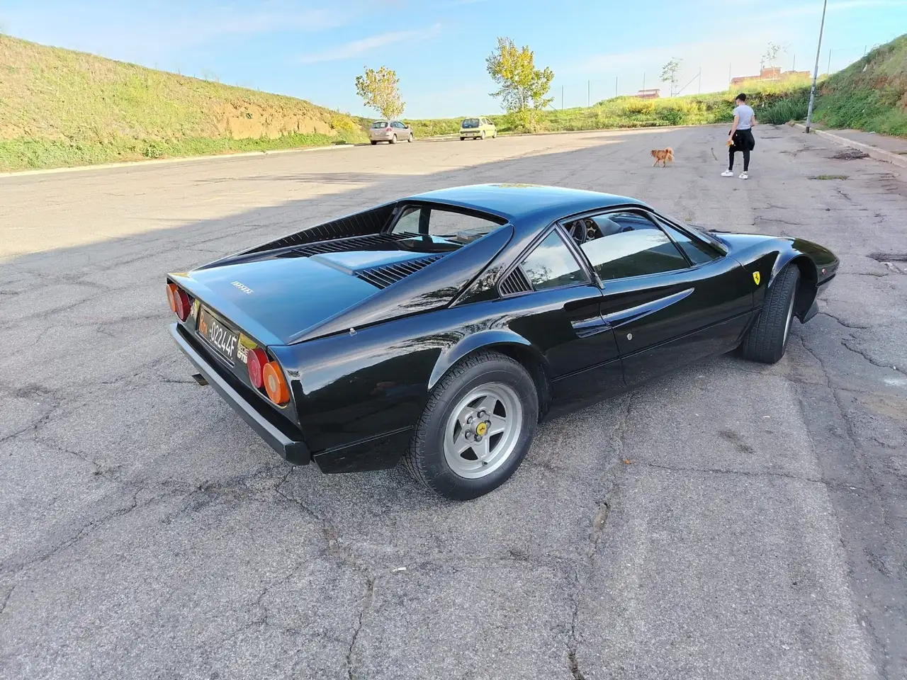 Ferrari 208 2.0 GTB, foto 5