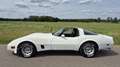 Corvette C3 1981 Blanc - thumbnail 3