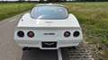 Corvette C3 1981 Blanc - thumbnail 5