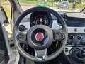 Fiat 500 Club Mild-Hybrid 1.0 *Pano/Klimaaut/EPH* Blanc - thumbnail 11