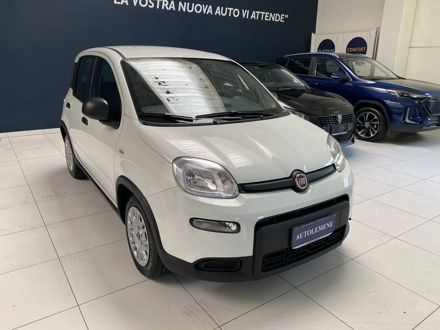 Fiat Panda Panda 1.0 FireFly S&S Hybrid Blanc - 1