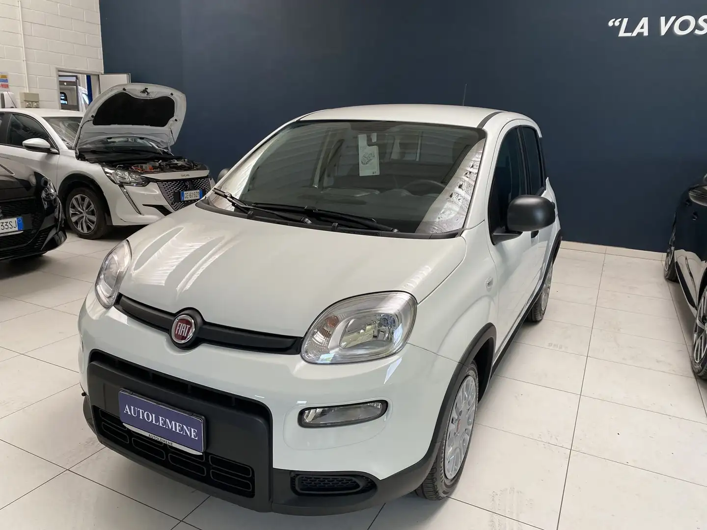 Fiat Panda Panda 1.0 FireFly S&S Hybrid Blanc - 2