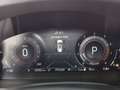 Ford Explorer 3.0 PHEV Platinum AWD Aut 7-SITZER LED Grau - thumbnail 20