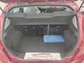 Ford Fiesta Pequeño Manual de 5 Puertas - thumbnail 24