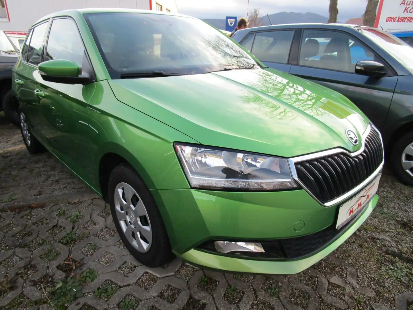 Skoda Fabia Active+WR Grün - 1