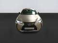 Lexus UX 250h Business 2WD Gris - thumbnail 2
