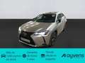Lexus UX 250h Business 2WD Gris - thumbnail 1