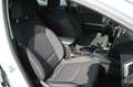 Kia Ceed / cee'd Klima/Kamera/Sitz-Lenkradhz/CarPlay Weiß - thumbnail 14