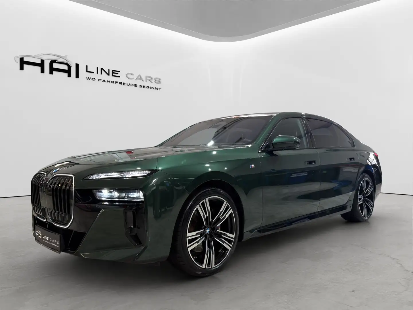 BMW 740 740d xDrive M Sport Vollausstattung | LP 204.350,- Grün - 1