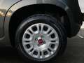 Fiat Panda 1.0 70 cv Hybrid 20.000 KM (05-24) - thumbnail 7