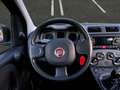 Fiat Panda 1.0 70 cv Hybrid 20.000 KM (05-24) - thumbnail 4
