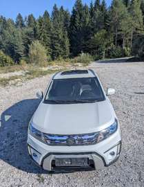 1.6 DDiS Allgrip Privilège