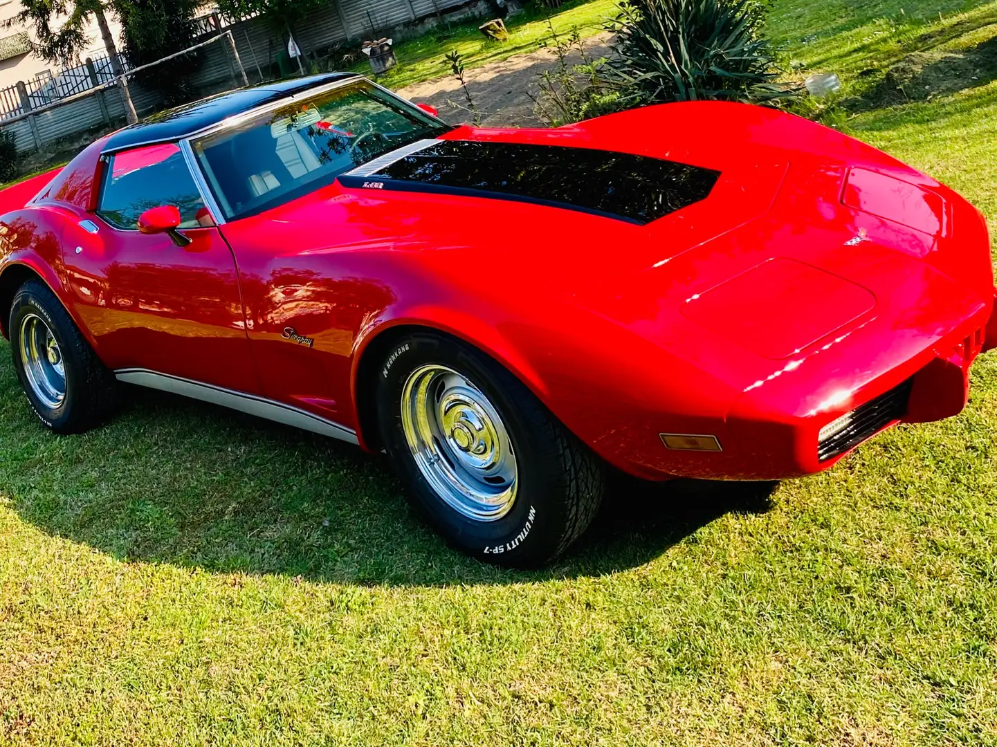 Chevrolet Corvette C3 stingray custom - 2