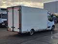 Renault Master Blanc - thumbnail 3