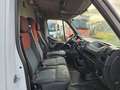 Renault Master Blanc - thumbnail 7