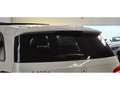 Mercedes-Benz B 200 B 200d B200d AMG FASCINATION BVA /  TOIT PANO / HISTORIQUE Wit - thumbnail 29