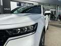 Kia Sorento 1.6 T-GDI Plug-in Hybrid 4WD ExecutiveLine 7p. EER White - thumbnail 5