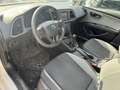 SEAT Leon 1,2 Reference Weiß - thumbnail 14