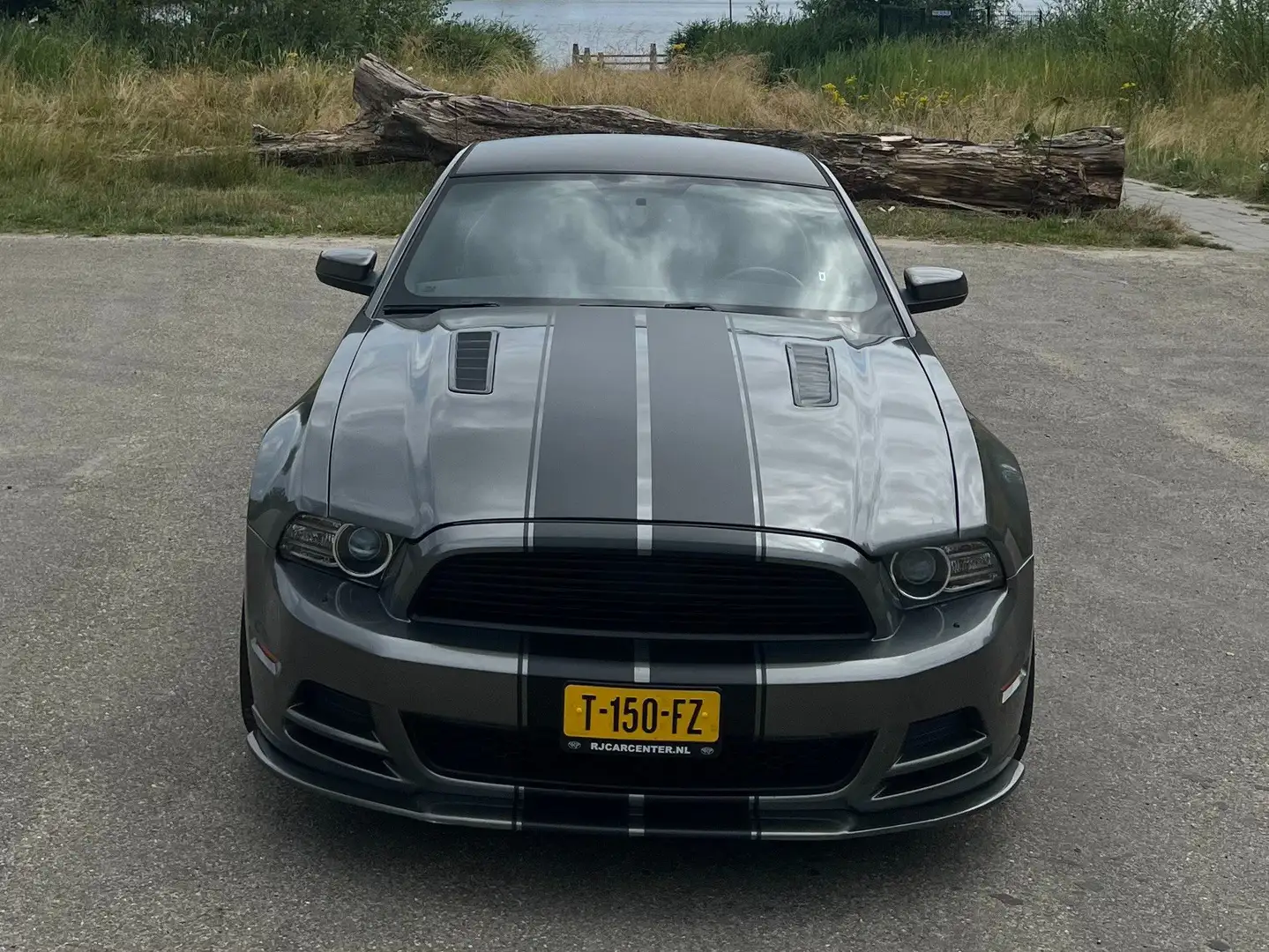 Ford Mustang Mustang 5.0 V8 Grijs - 1