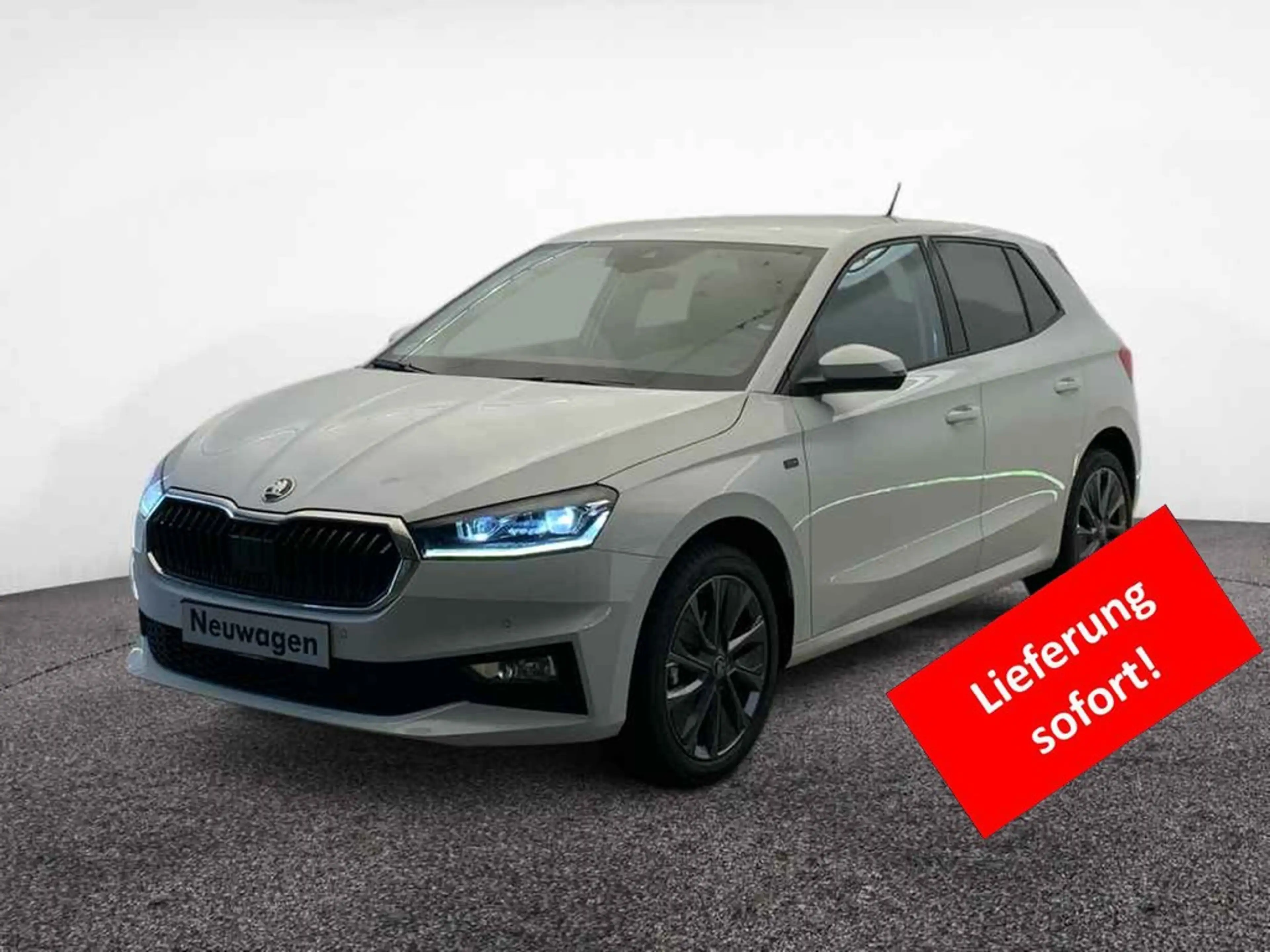 Skoda Fabia Tour 1.0 TSI DSG ACC*CAM*SHZ*LED*PDC*2-Z