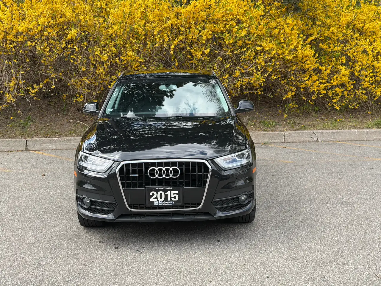 Audi Q3 снимка Audi Q3