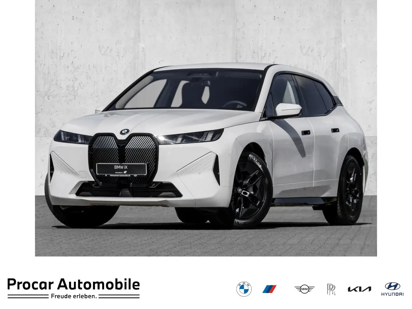 BMW iX xDrive45 ACC AHK NAVI LED Sound Syst. DAB Blanco - 1