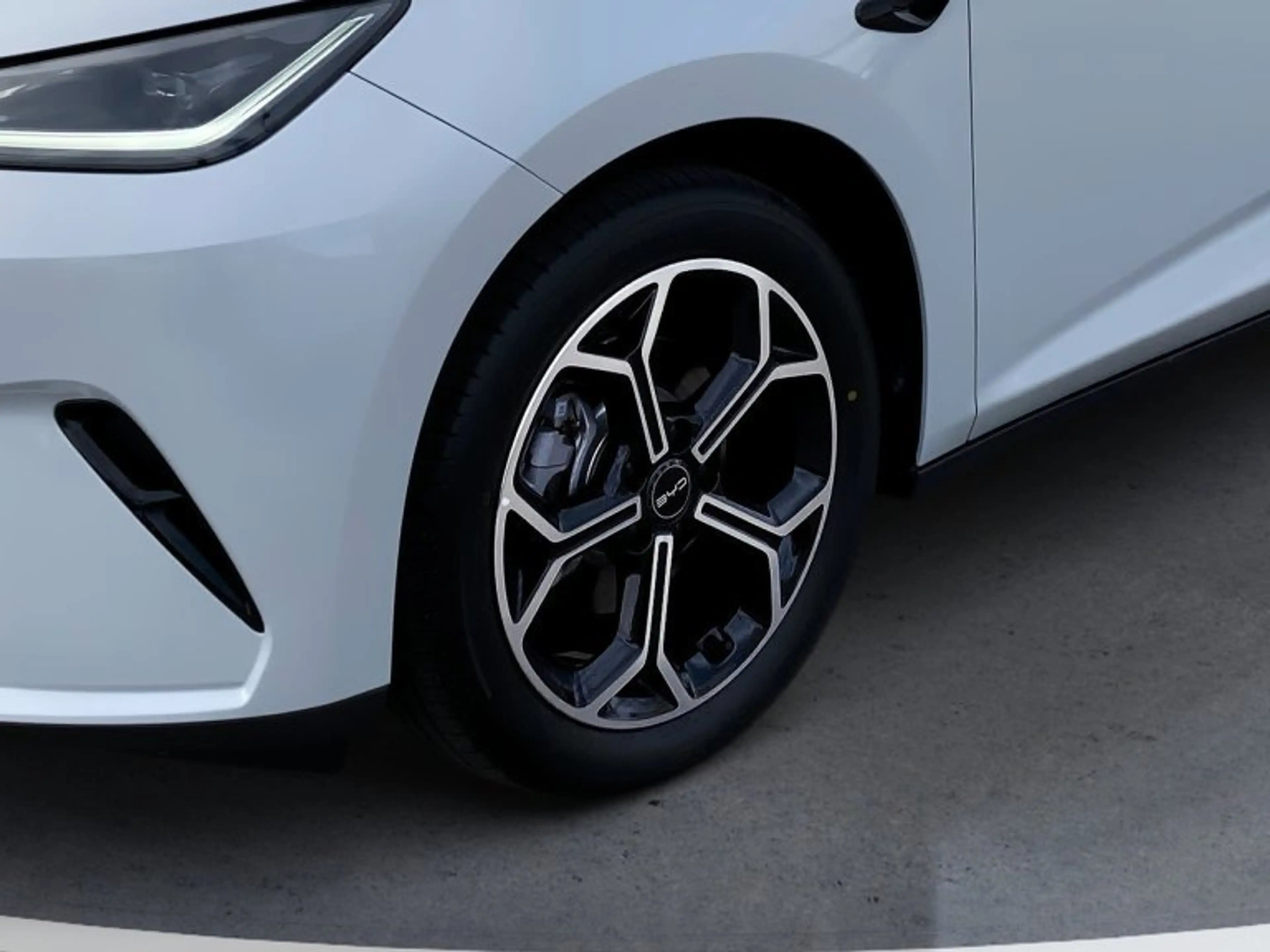 BYD Dolphin G DM-i Comfort — photo 8