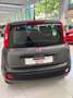 Fiat Panda Panda III 2016 1.2 Easy 69cv Grigio - thumbnail 6