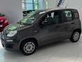 Fiat Panda Panda III 2016 1.2 Easy 69cv Grigio - thumbnail 2