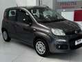 Fiat Panda Panda III 2016 1.2 Easy 69cv Grigio - thumbnail 3